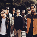 The Black Seeds